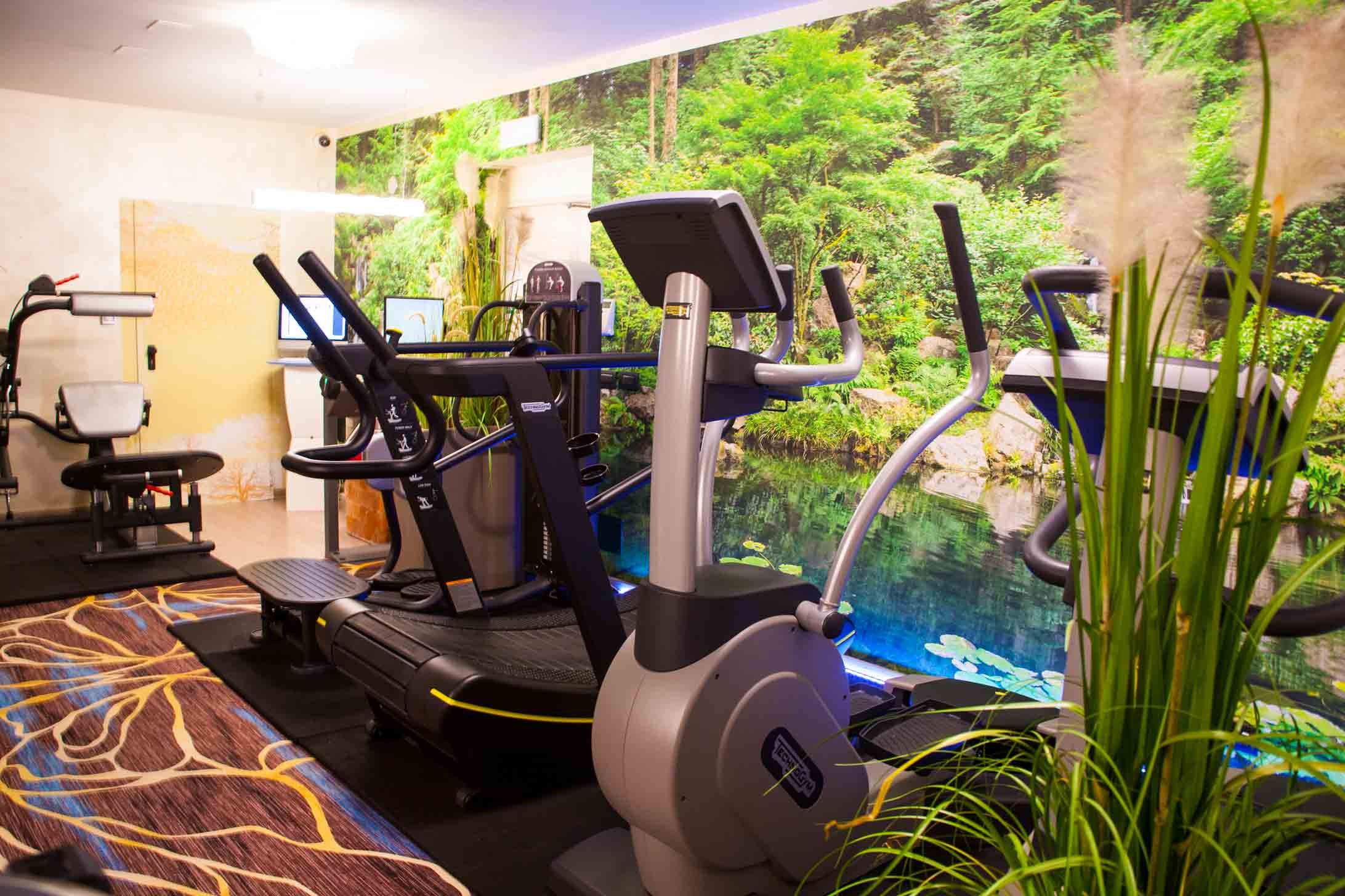Palestra 2 Dro Fitness